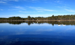 Boreal Lake